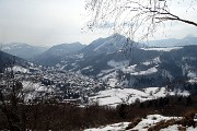 63 Il caldo sole ha scrollato la neve dalle piante